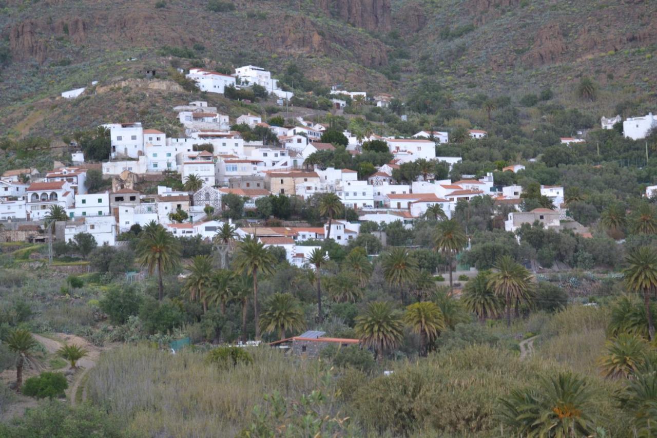 Las Palmeras Temisas Buitenkant foto