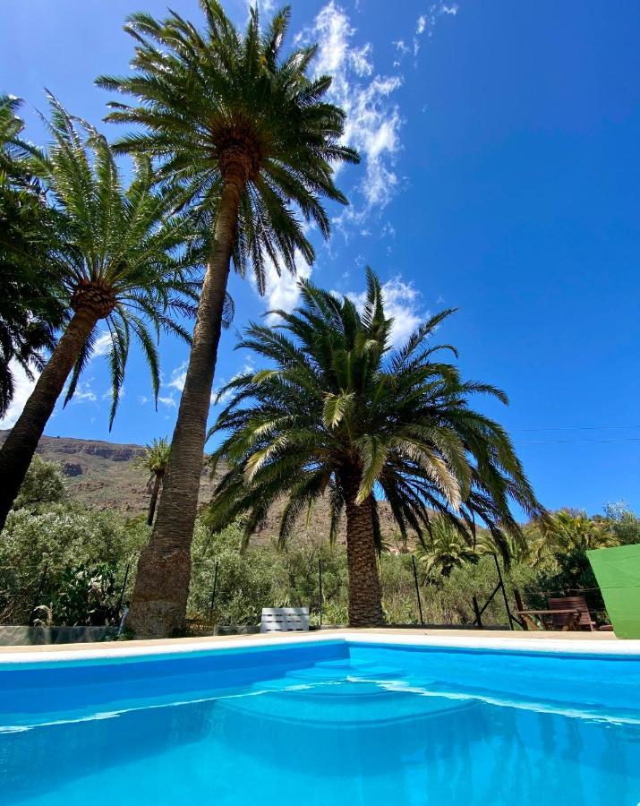 Las Palmeras Temisas Buitenkant foto