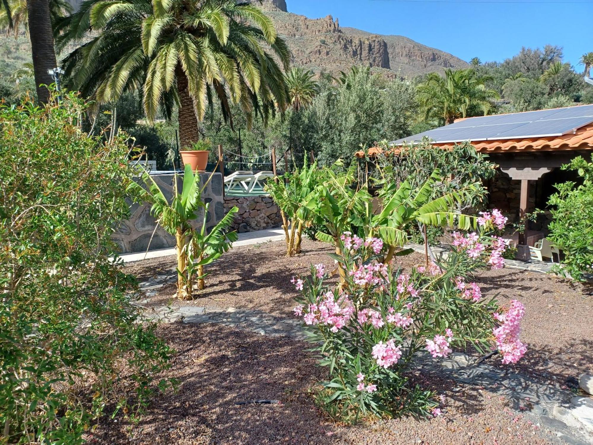 Las Palmeras Temisas Buitenkant foto